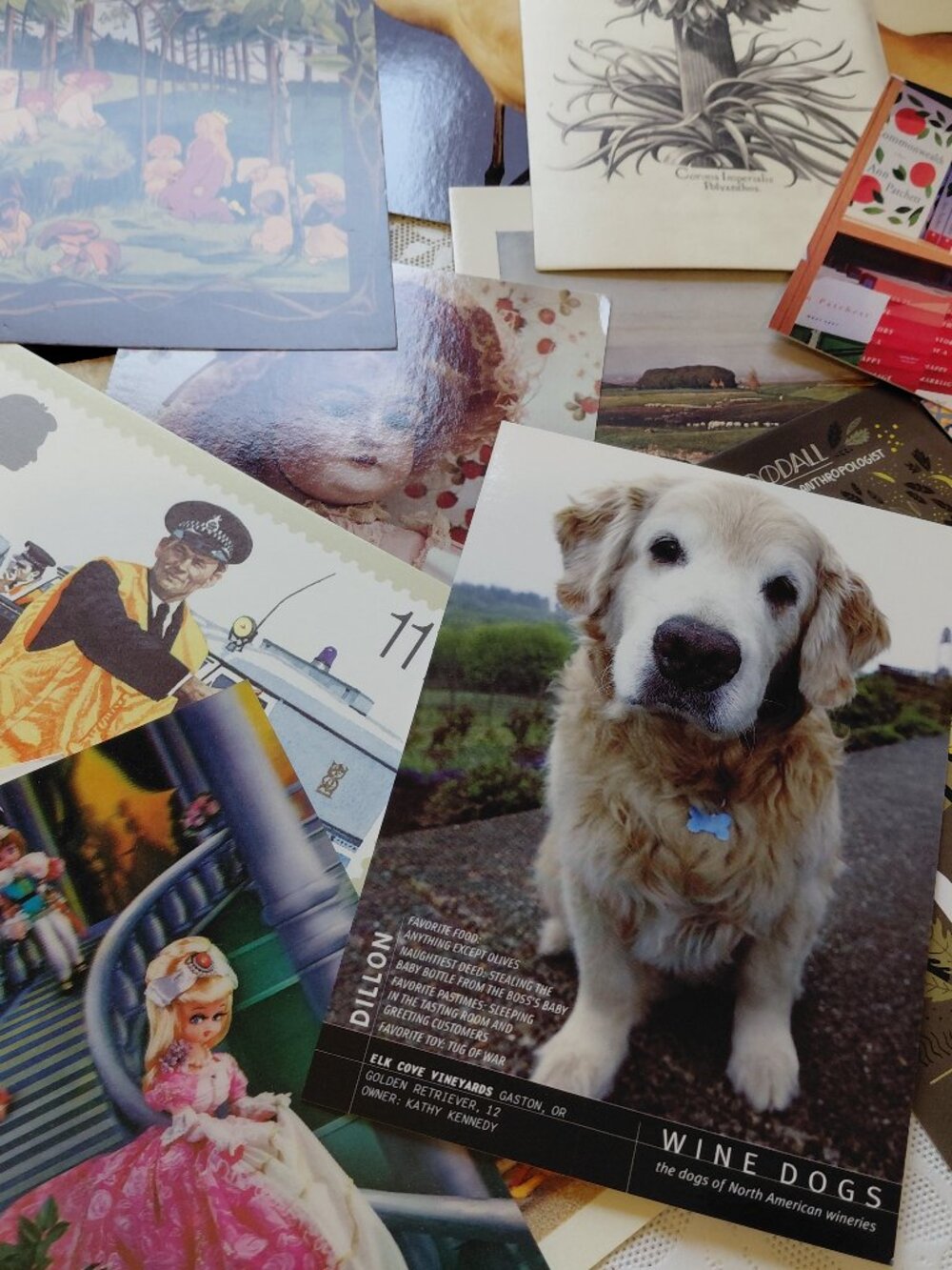 15 Pretty Unposted Continental Postcards Postcrossing, Penpal, Art
